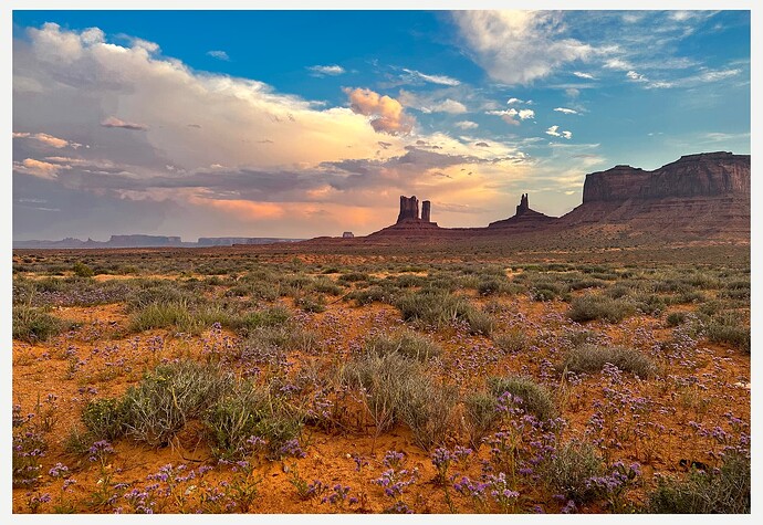 Monument Valley at Sunset in Blume