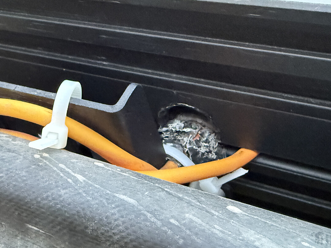 1A2B7355-E8B9-444E-97AA-7623EF26508D