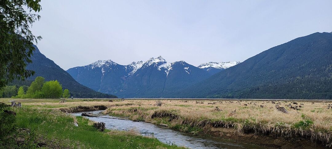 Ross Lake sm