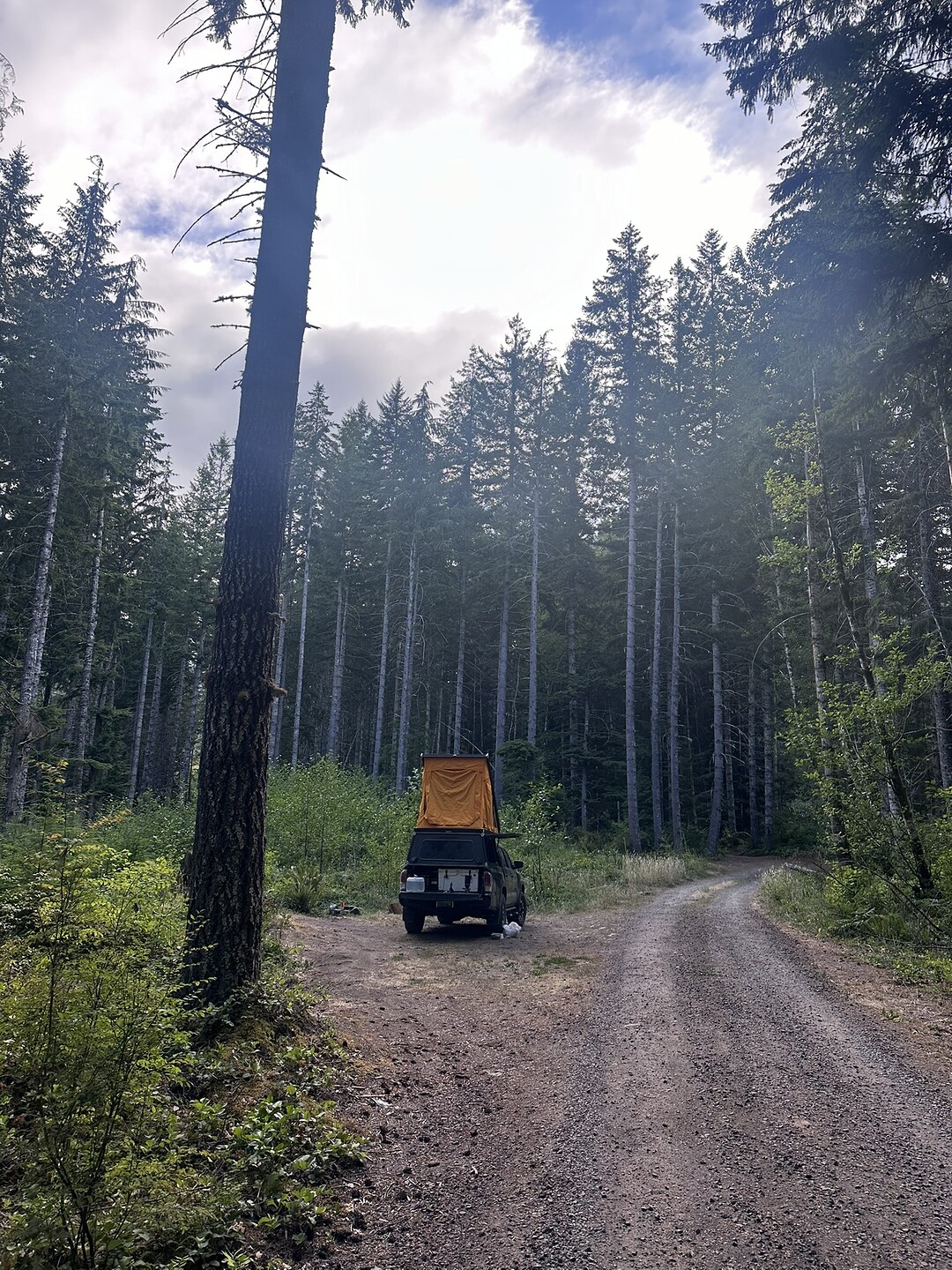 D4713F92-800A-4B38-892C-80B7630A67CF_1_102_o