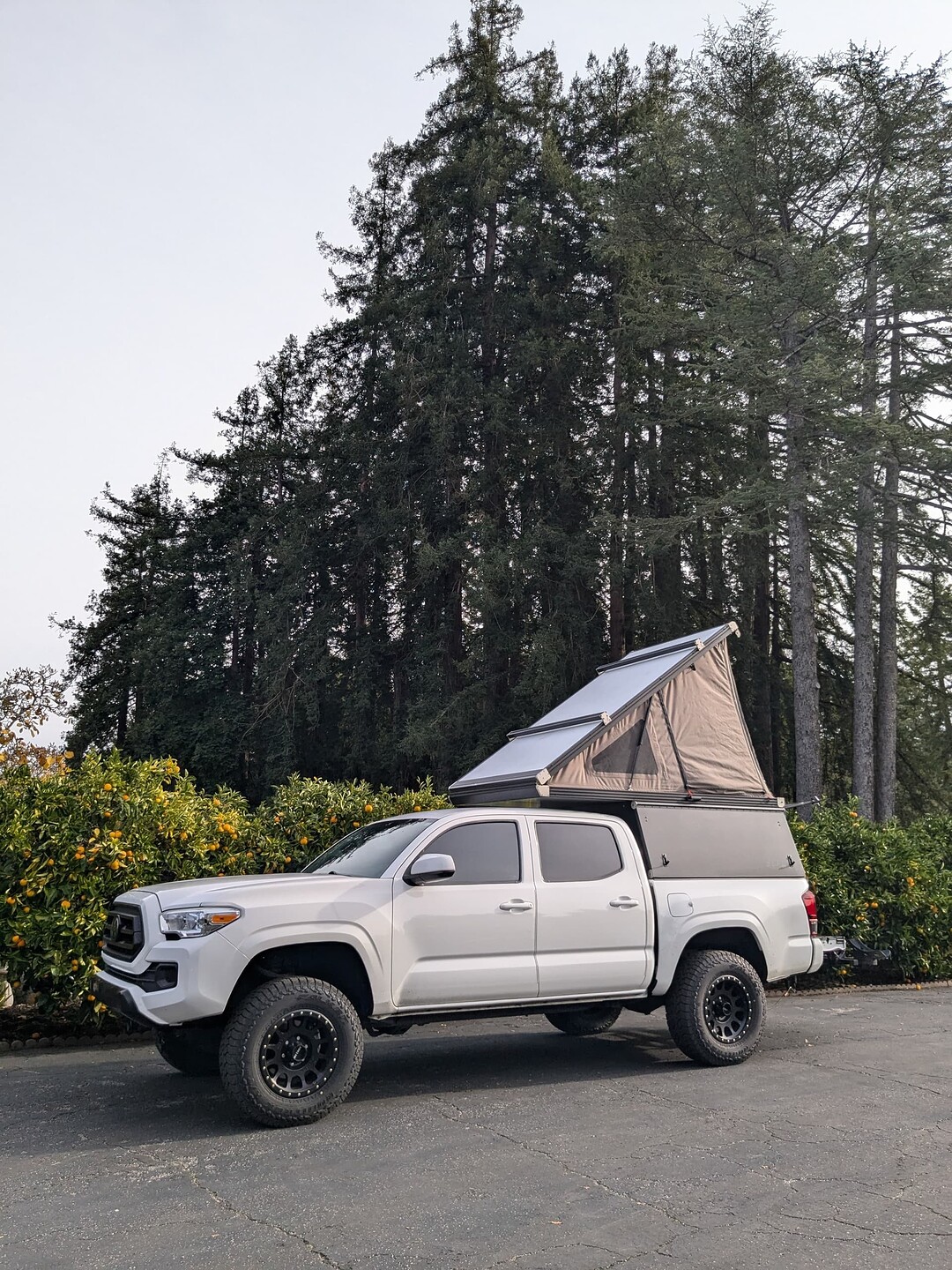 WhatsApp Image 2025-11-09 at 09.06.17