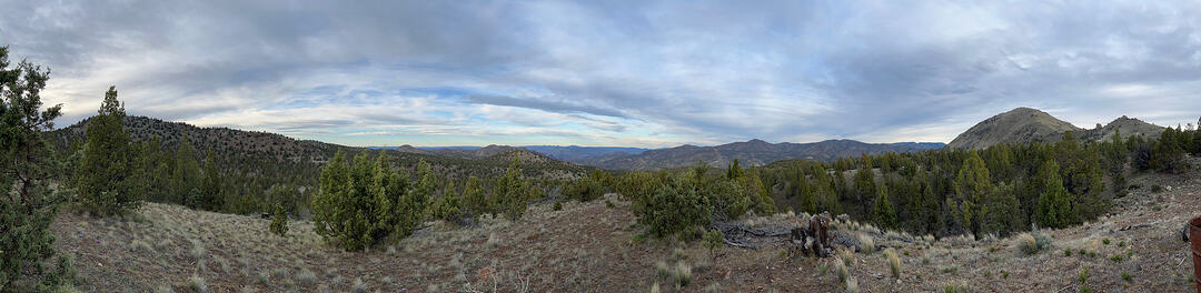 IMG_4132(2)