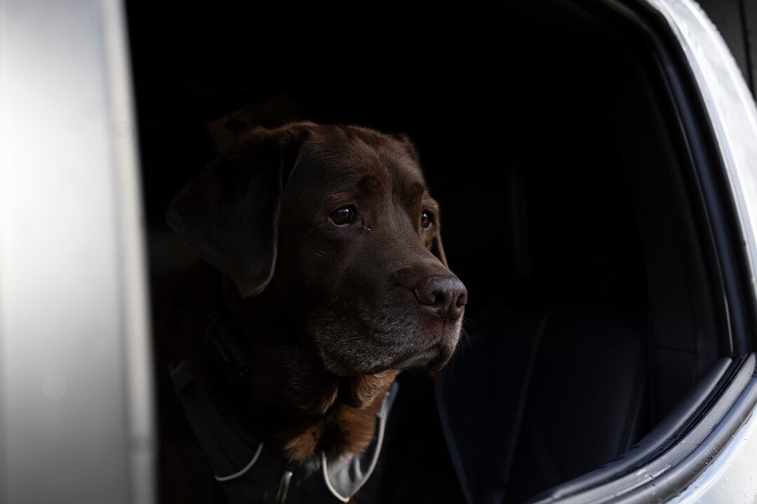 112225_VAOFFROAD_0032