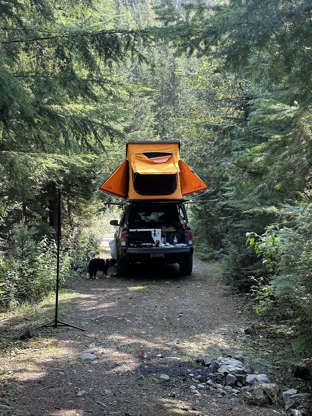 3EFB6BE2-B434-49A4-A7E9-1EE275EE9DD2_1_102_o