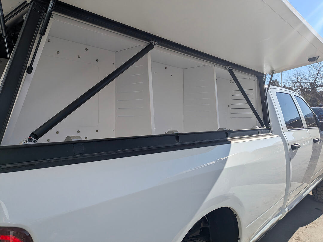 1000002925 1000002925