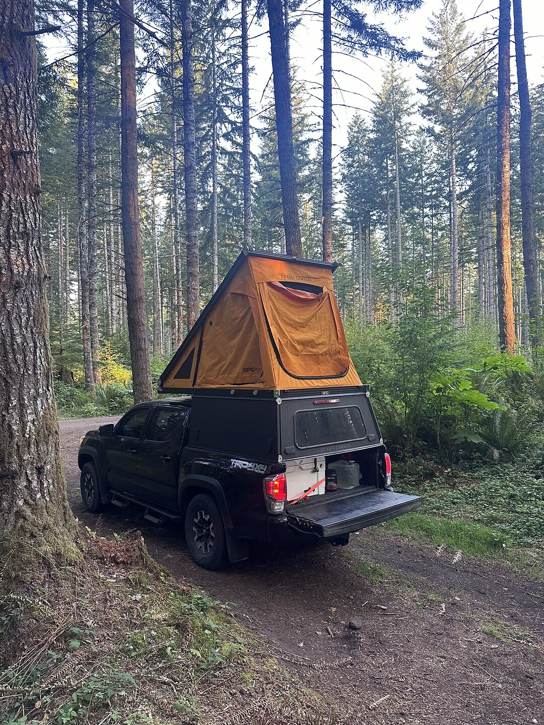 028756EF-2B01-4FBE-9C05-3C8D78443796_1_102_o