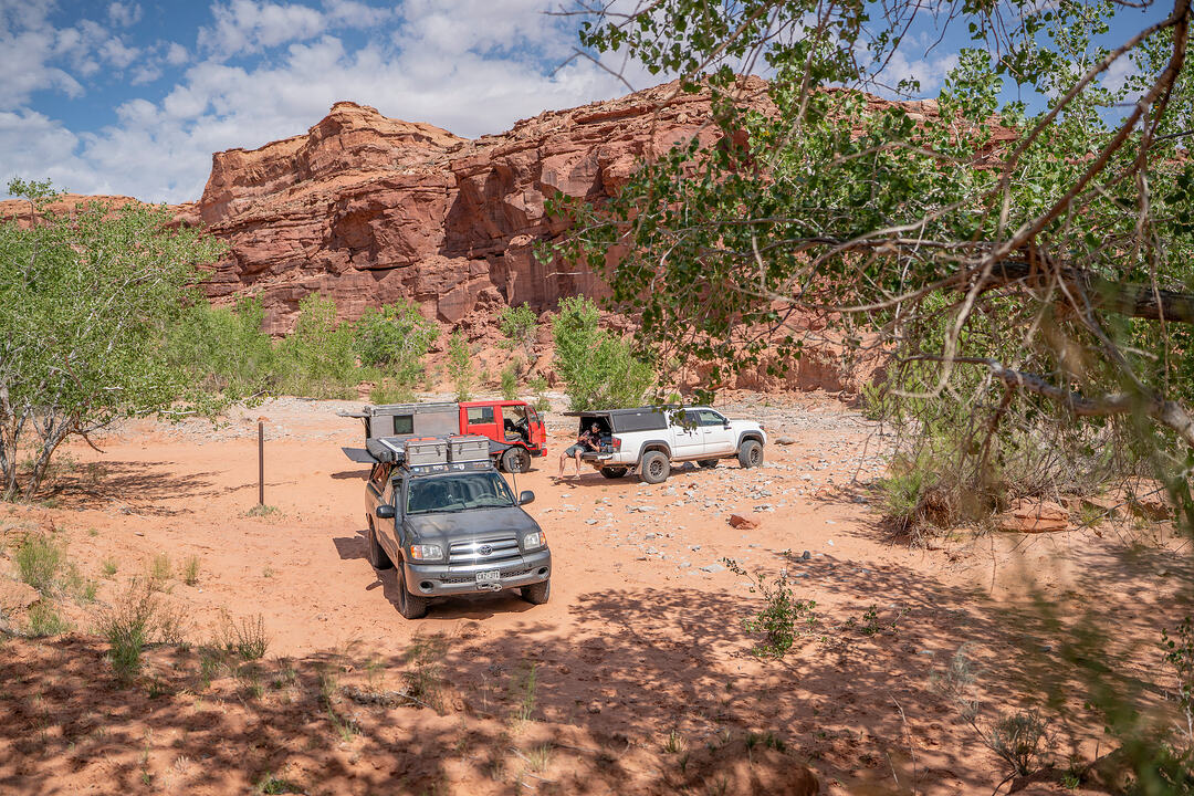 BM208515