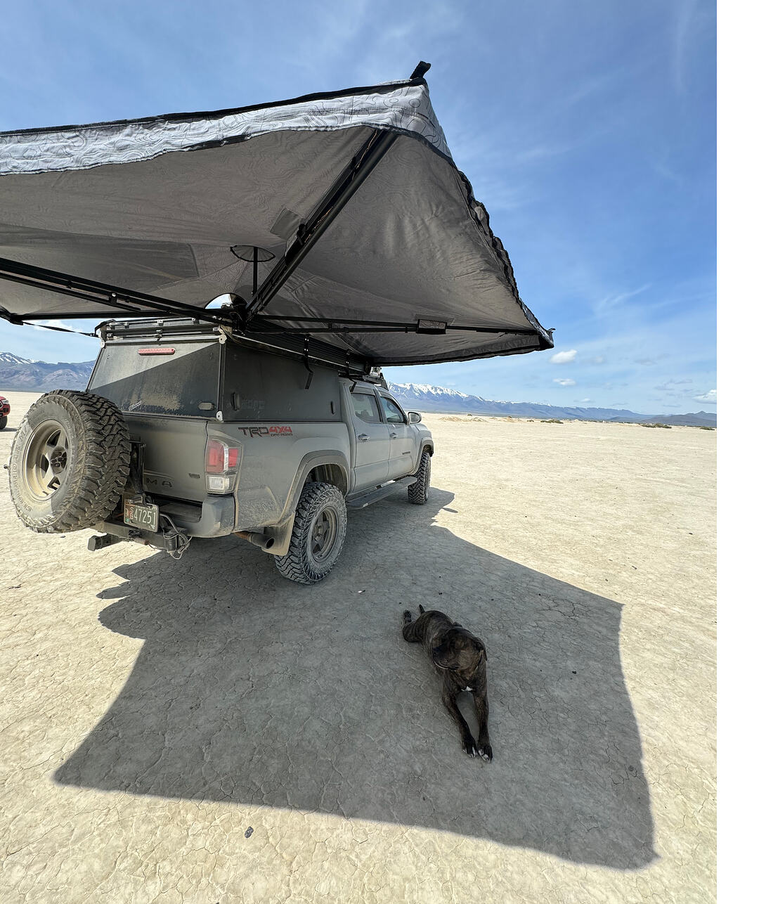 Screenshot 2026-01-26 at 10.34.26 AM