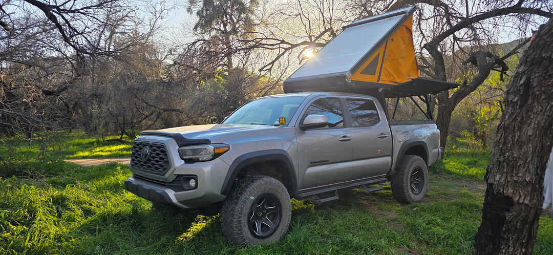 20260131_165649_Original