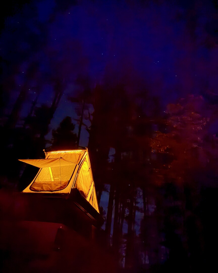 202602_senatorhighway - 4