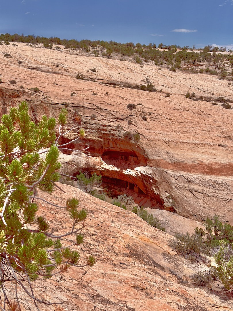202606_Canyonlands - 6