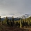 enwhite_27